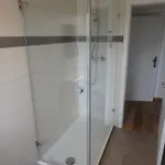 Flip
